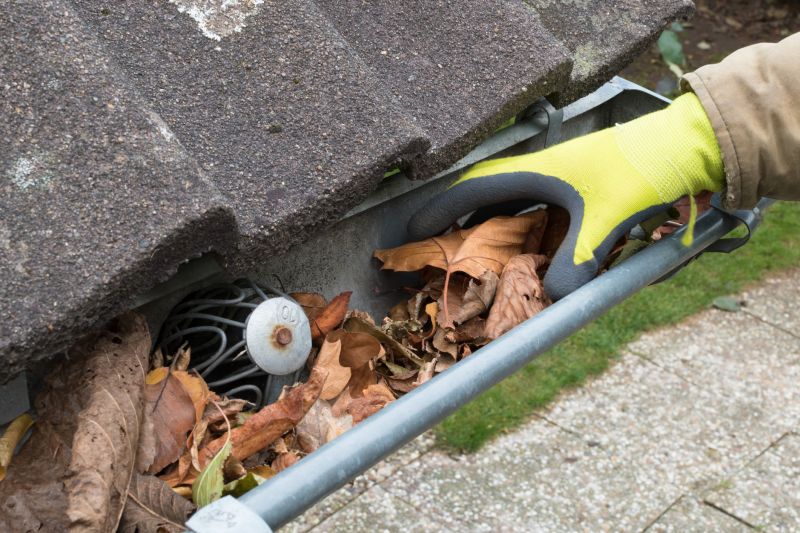 Gutter Clog Removal