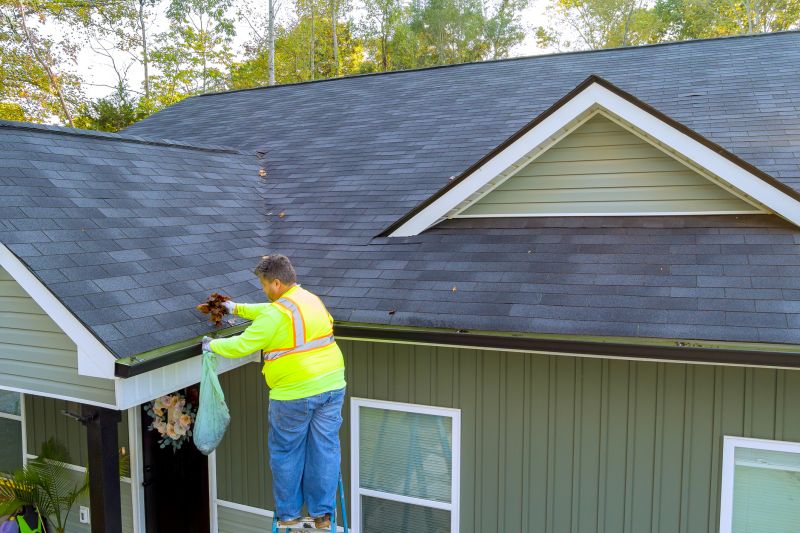 Holiday Savings on Gutter Services